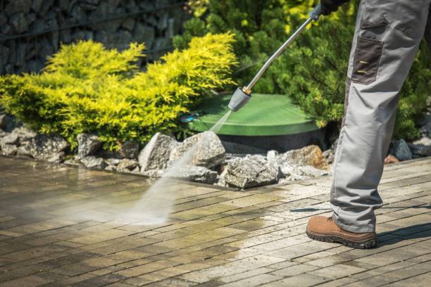 Best Gutter Cleaning  in South Windham, CT